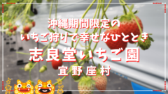 沖縄 宜野座村 志良堂いちご園のいちご狩り体験で幸せなひと時 おきなわんたいむろぐ